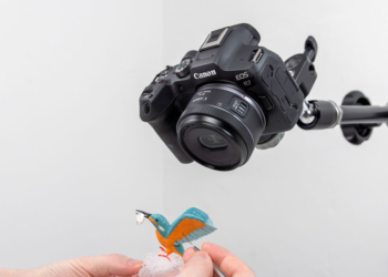 RF-S 7.8mm F4 STM DUAL