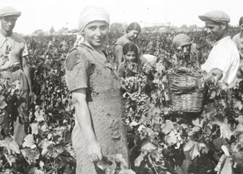 Archivio Giuseppe Palumbo. Intervista con Brizia Minerva