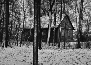 Fabio Domenicali, Teren Zielony