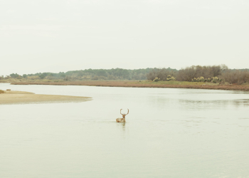 Foto/Territorio Bologna