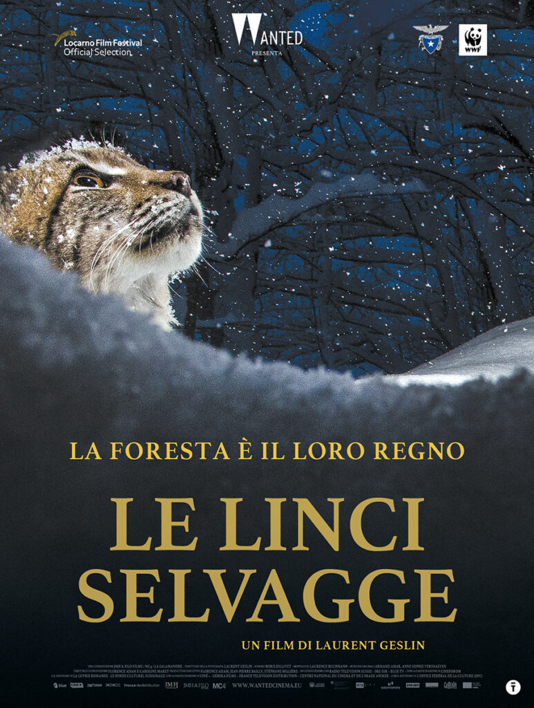 Locandina film Le linci selvagge