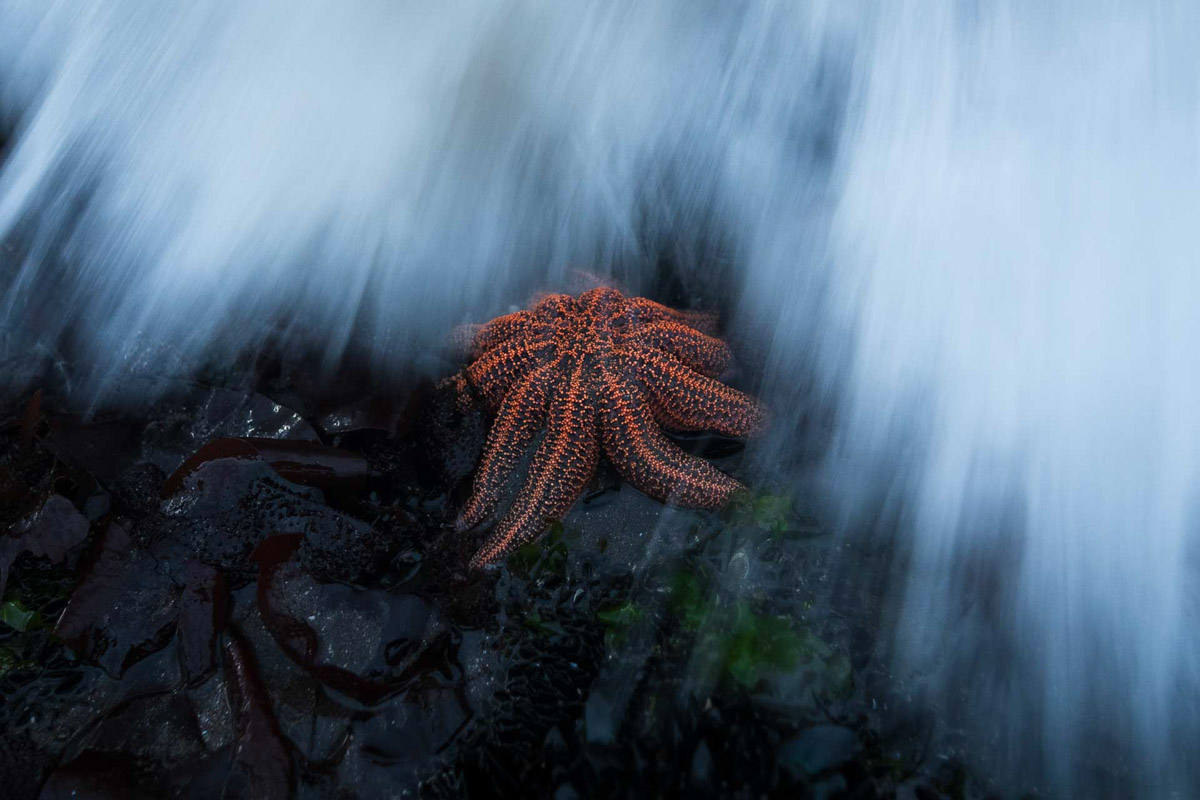 Brace! © D’Artagnan Sprengel, vincitore categoria Youth, NPOTY Photo Contest 2024