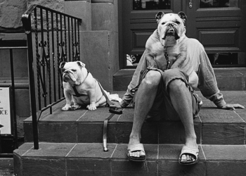 Elliott Erwitt. Icons mostra fotografica Pisa