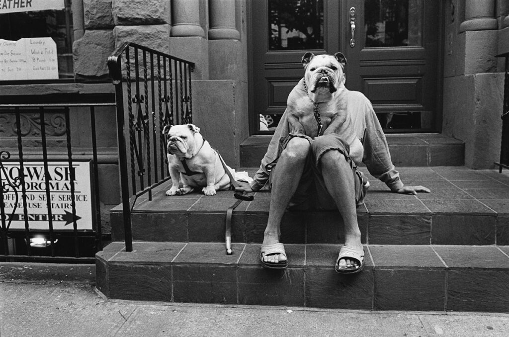 © Ellio Erwitt, New York, 2000. Elliott Erwitt. Icons mostra fotografica Pisa