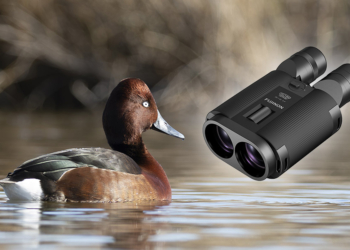 moretta tabaccata - fujinon tsl 1640 techno stabi