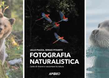 Libro "Fotografia naturalistica. L'arte di ritrarre e raccontare la natura"