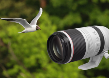 foto di Robert Marc Lehmann