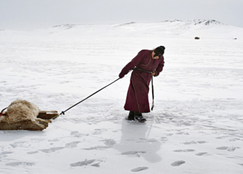 Alessandro Grassani mostra Museo DIocesano Milano