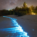 People's Choice Awards 2025 The Astronomy Photographer of the Year