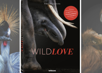 WildLOVE Pedro Jarque Krebs