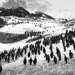 Sebastião Salgado. Ghiacciai mostra fotografica Rovereto Trento