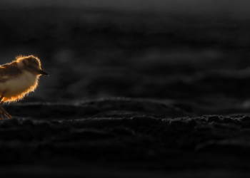 Un Po di colore mostra fotografica Milko Marchetti