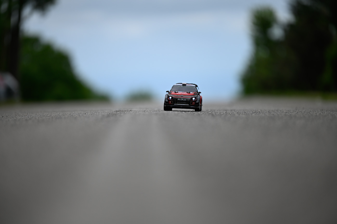 _DSC0824