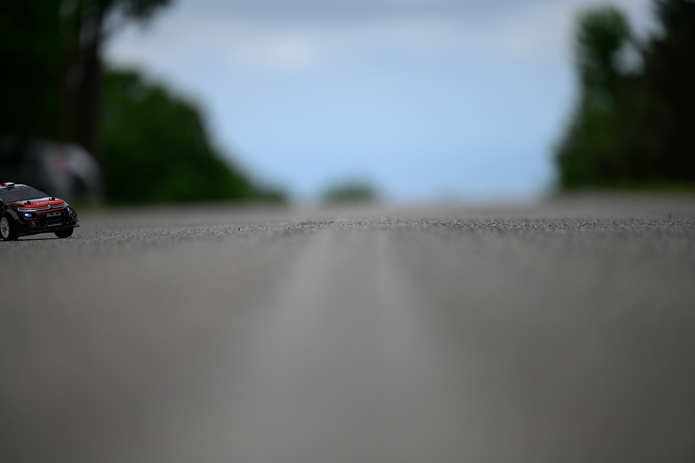 _DSC0916