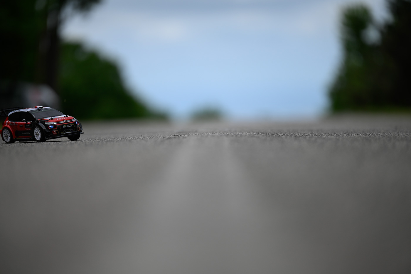 _DSC0918