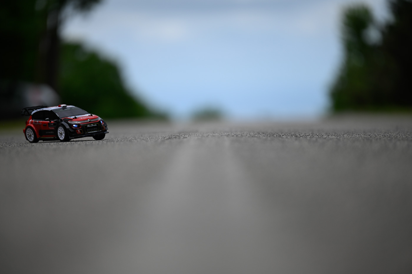 _DSC0919
