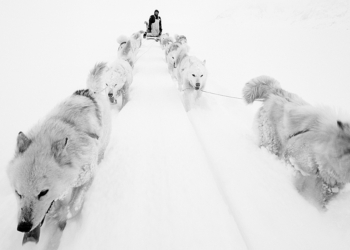 Paolo Solari Bozzi, Greenland into White