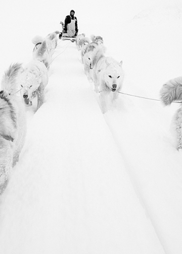Paolo Solari Bozzi, Greenland into White