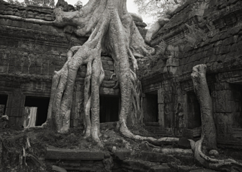 Kenro Izu mostra fotografica i luoghi dell'anima