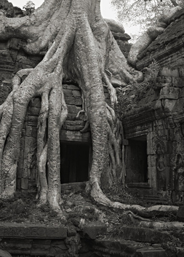 Kenro Izu mostra fotografica i luoghi dell'anima