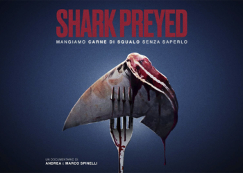 Shark Preyed Shark Preyed documentario Andrea e Marco Spinelli