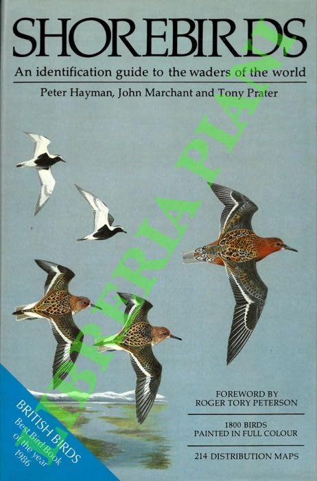 Shorebirds guida libro