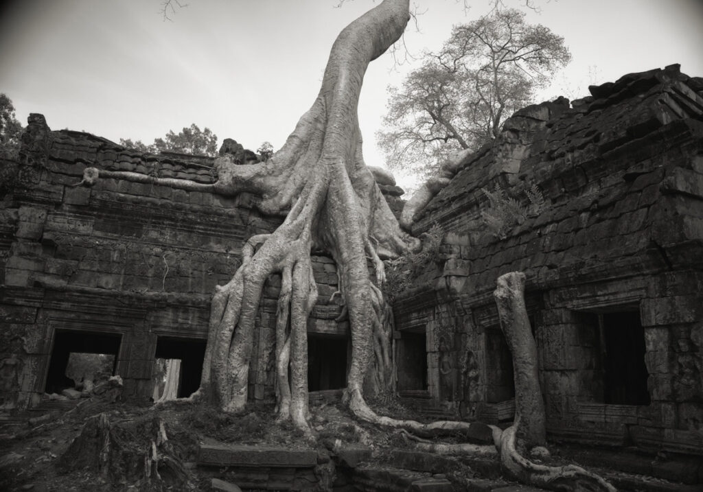 © Kenro Izu, Angkor #26, Cambodia, 1993