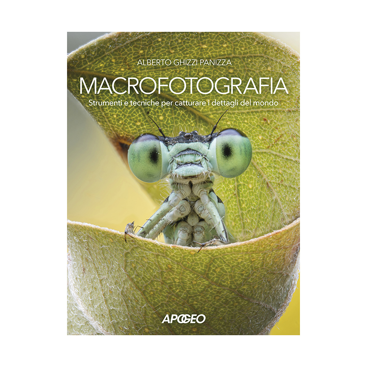 Macrofotografia Alberto Ghizzi Panizza