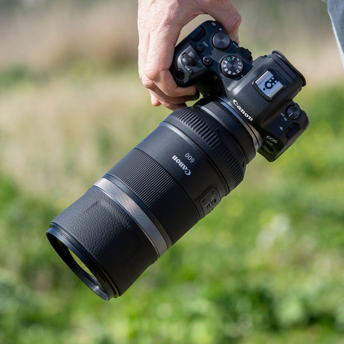 Canon RF 600mm f/11 IS STM