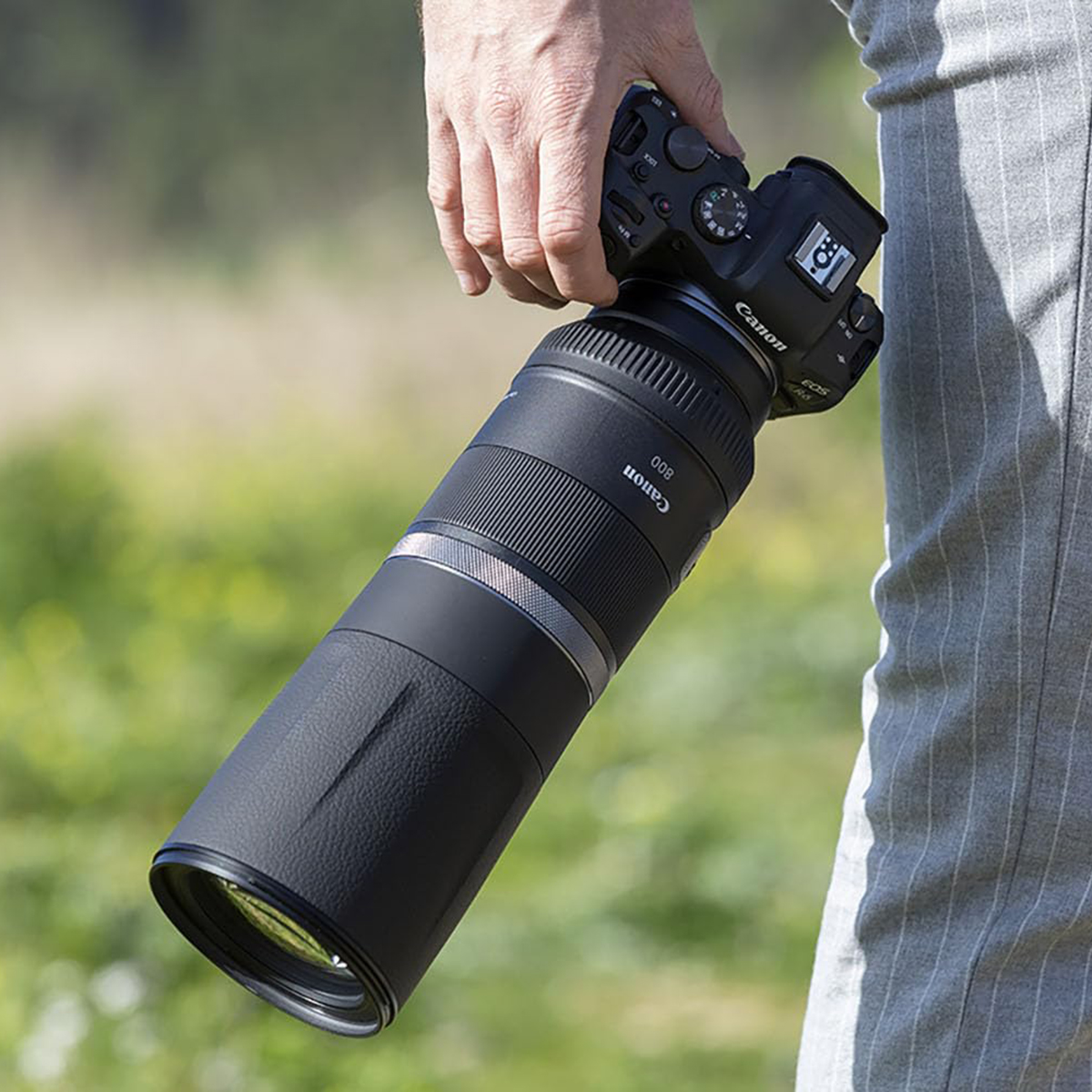 Canon RF 800mm f/11 IS STM