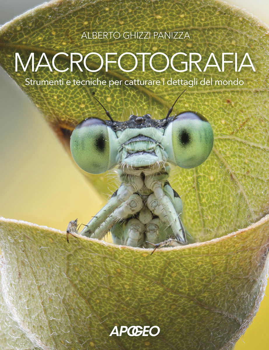Copertina Macrofotografia. Strumenti e tecniche per catturare i dettagli del mondo di Alberto Ghizzi Panizza Apogeo editore