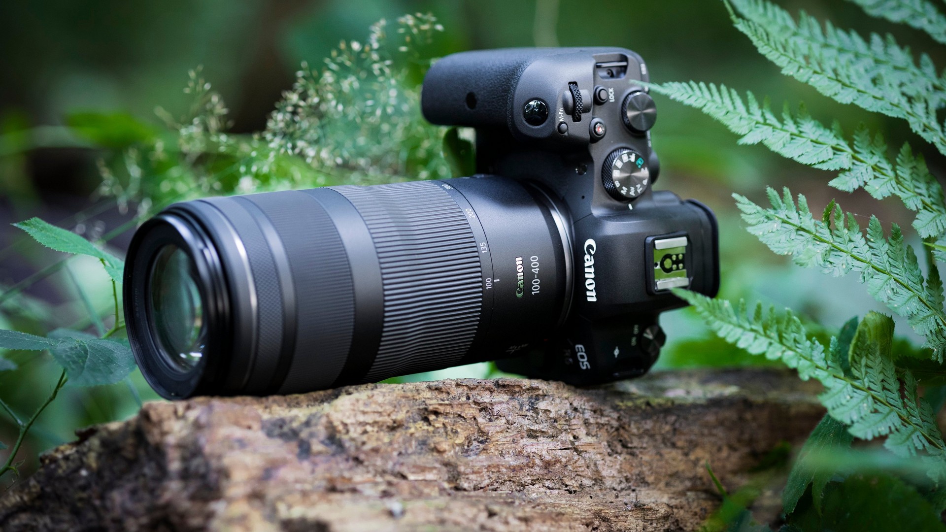 Canon RF 100-400mm f/5,6-8 IS USM