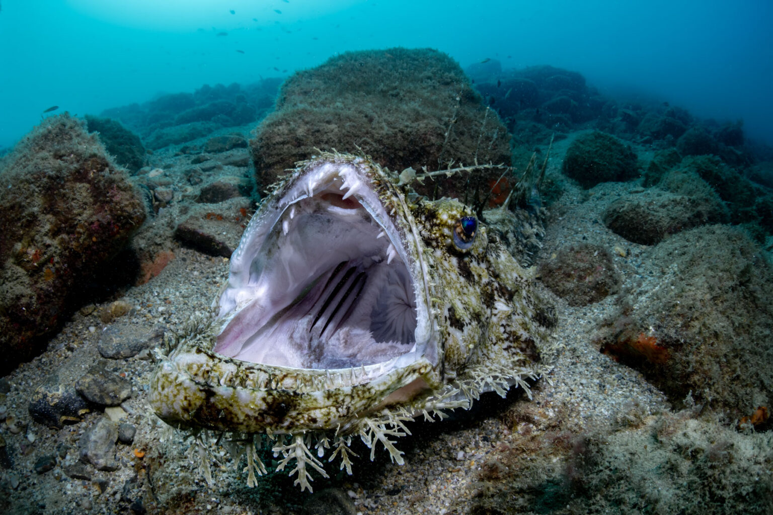 Temprata dal mare: progetti e successi di un’appassionata fotografa ...