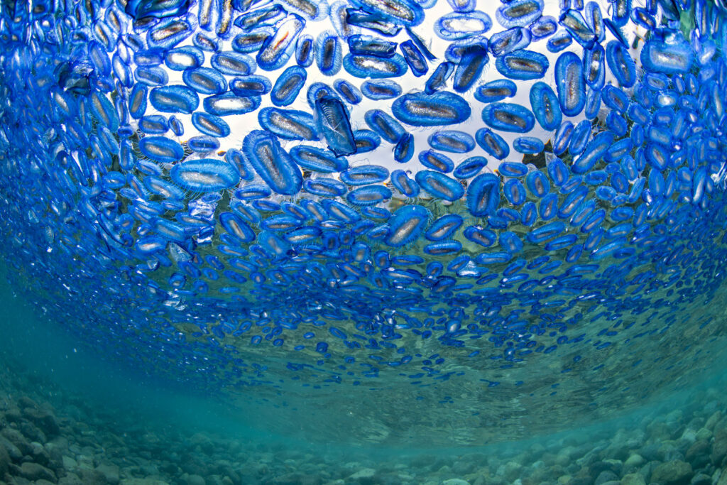 Temprata dal mare: progetti e successi di un’appassionata fotografa ...