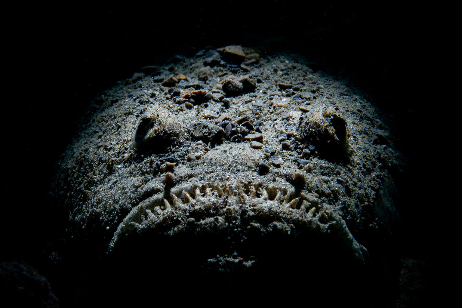 Temprata dal mare: progetti e successi di un’appassionata fotografa ...