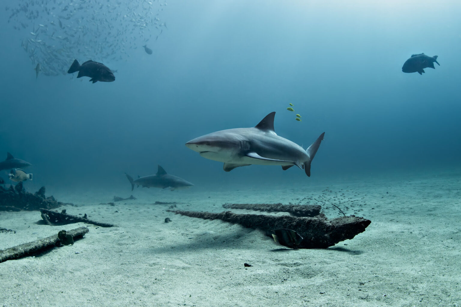Temprata dal mare: progetti e successi di un’appassionata fotografa ...