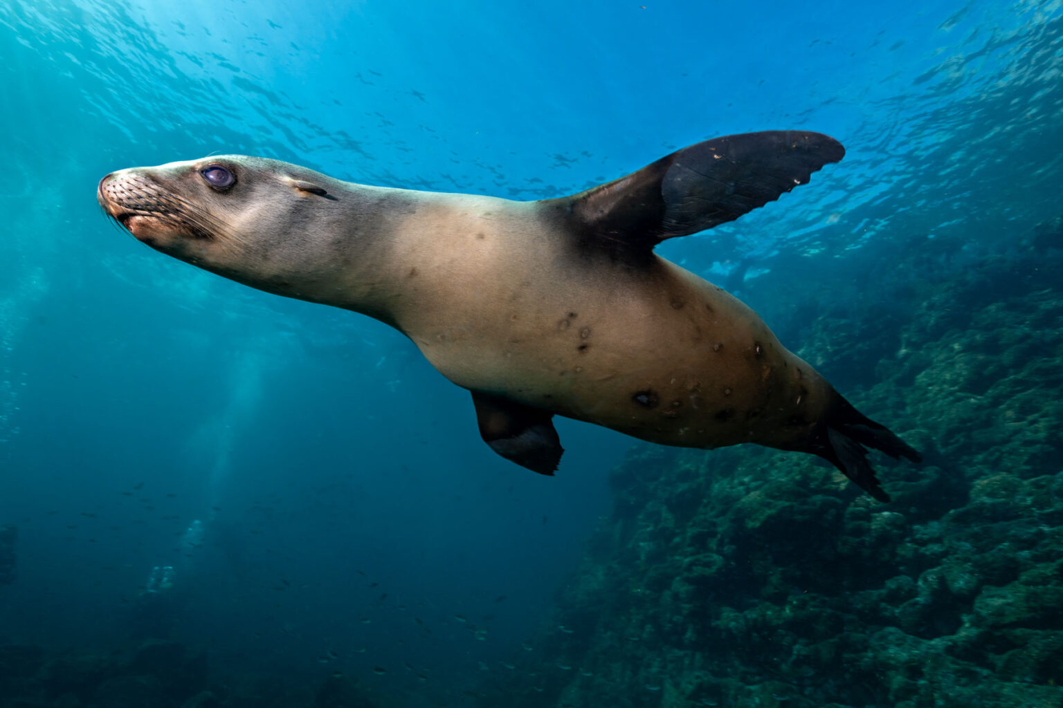 Temprata dal mare: progetti e successi di un’appassionata fotografa ...