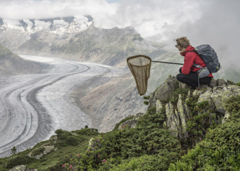 Constant Bloom Lucas Foglia farfalle