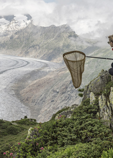 Constant Bloom Lucas Foglia farfalle