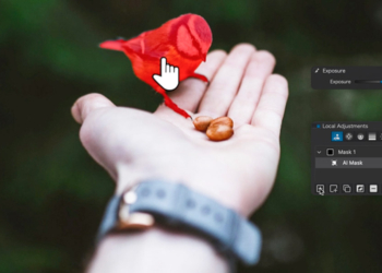 Una delle novità di DxO PhotoLab 9 è la selezione automatica del soggetto tramite riconoscimento basato su IA.