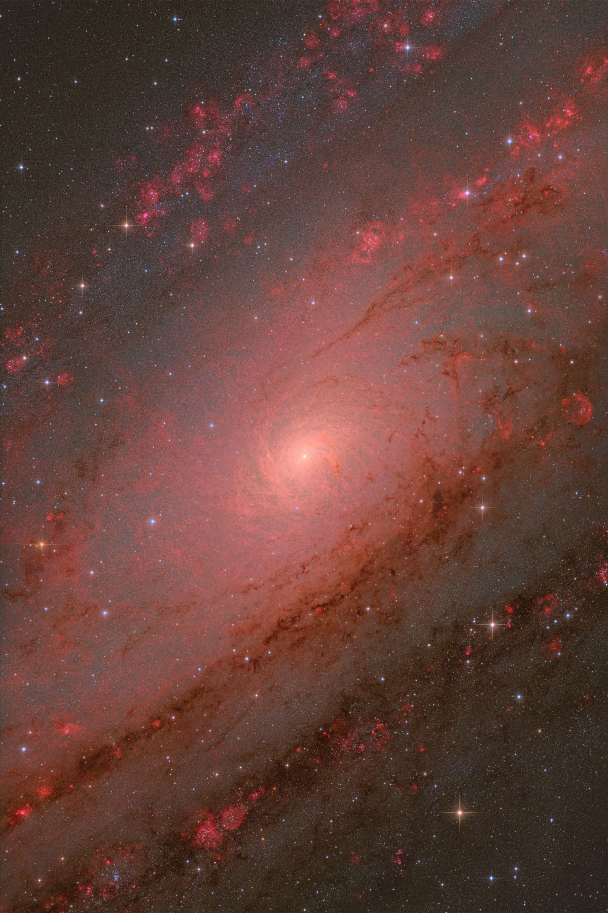 Mimi GTF true phenomenon