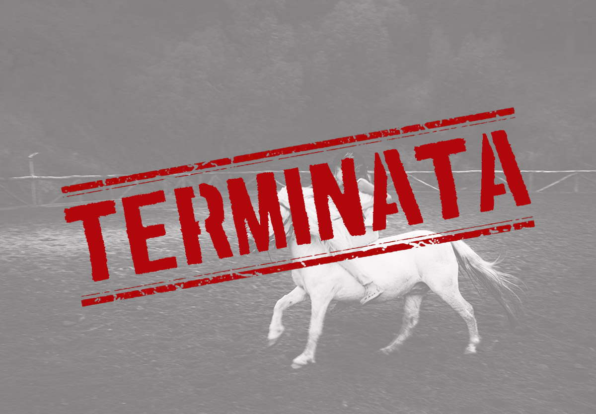 VIVA! mostra fotografica