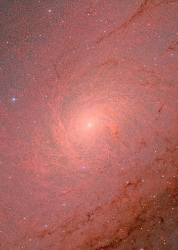 Vincitori Astronomy Photographer of the Year 2025