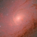 Vincitori Astronomy Photographer of the Year 2025