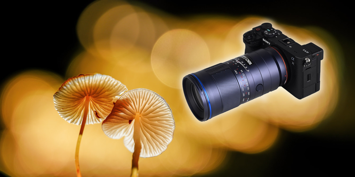 laowa 180 macro evid gua ge