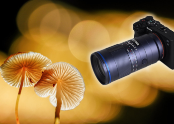 laowa 180 macro evid gua ge