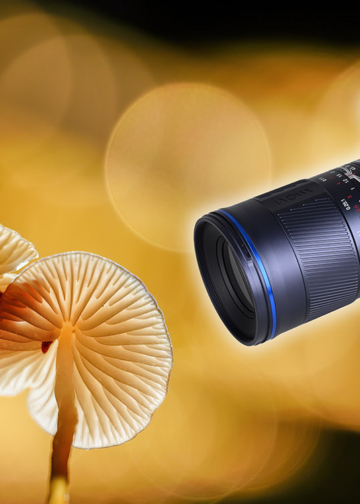 laowa 180 macro evid gua ge