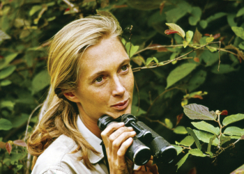 JANE GOODALL