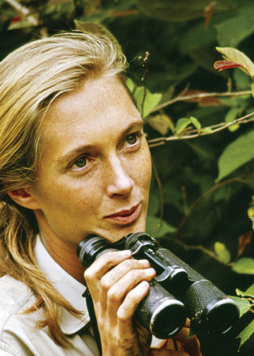 JANE GOODALL