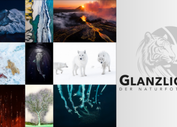 Apertura concorso Glanzlichter 2026